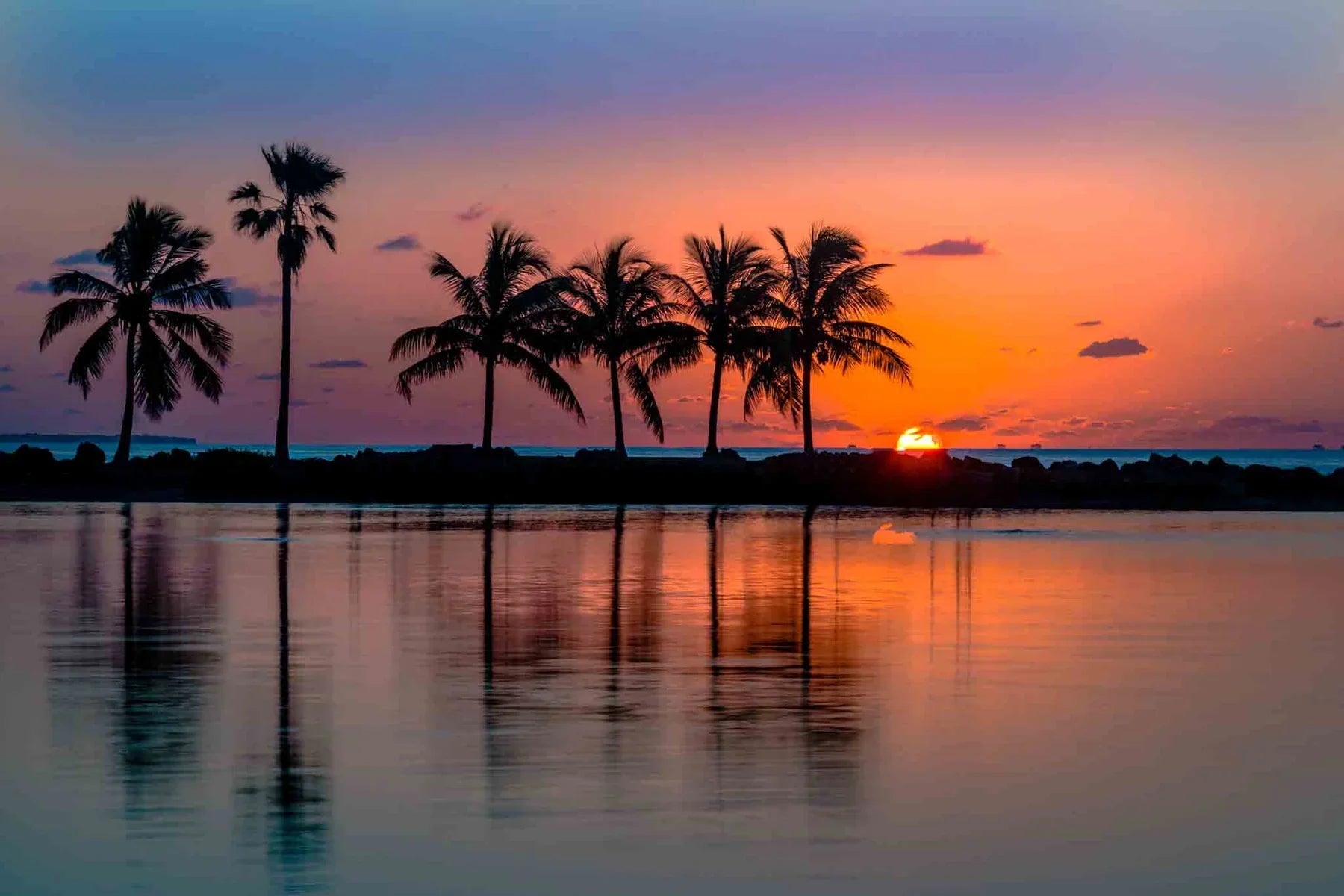 Landscapes: Unimagined Horizons