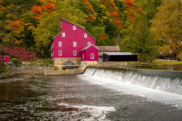 Capturing Fall's Essence: The Allure of Fall Foliage Photography for Art Collectors