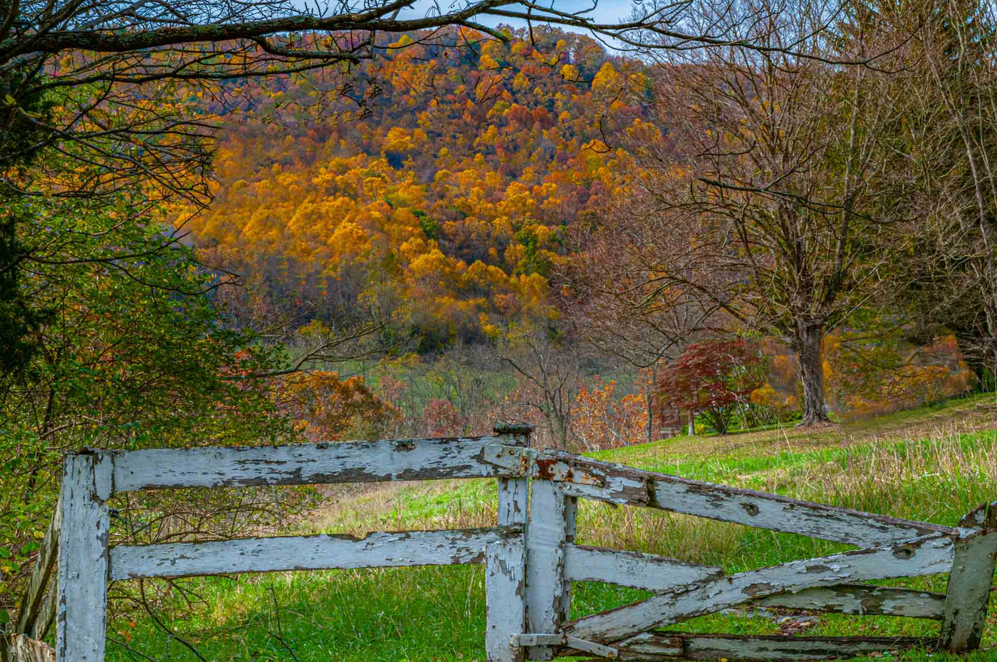 Transitions of Autumn