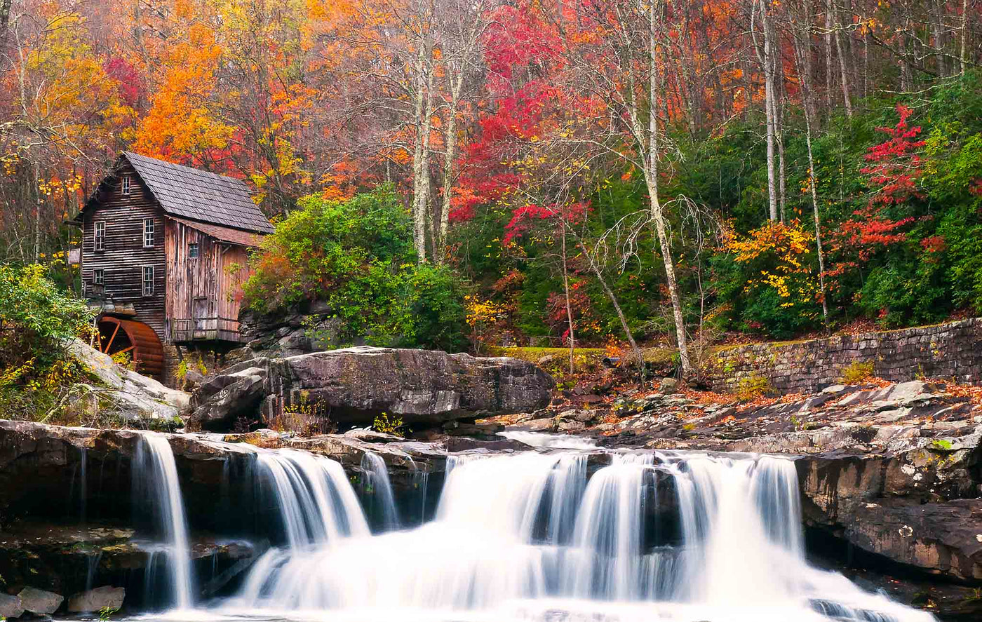 Timeless Mill