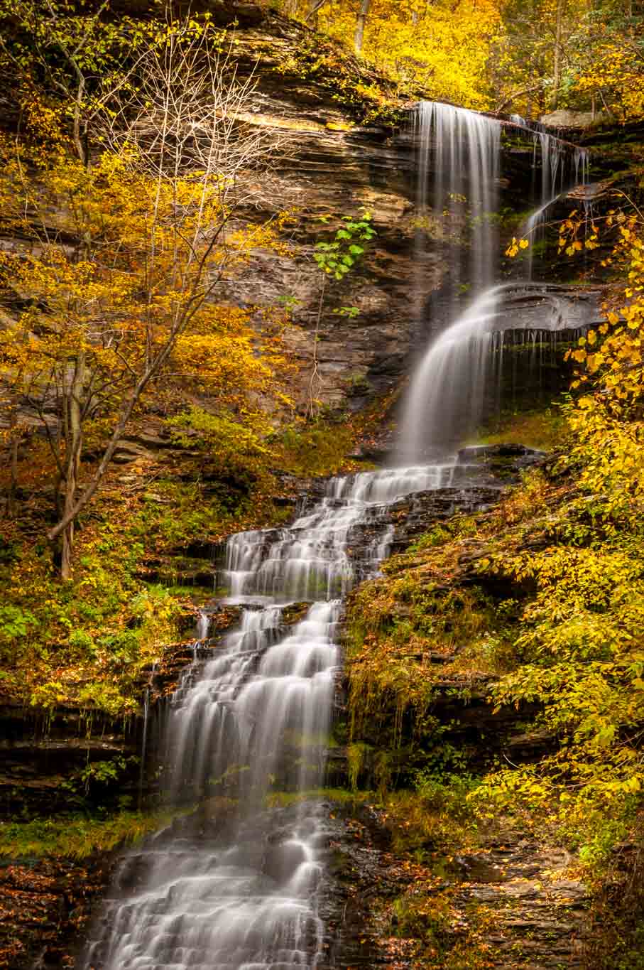 Flowing Through Gold     Asheville, North Carolina