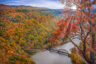 Endless Colors Of Fall  West Virginia