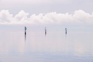 An abstract dreamy image of Biscayne bay with channel markers in the view.