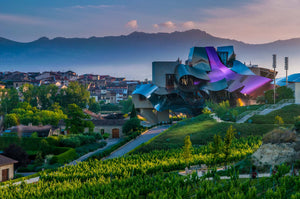 Hotel Marques de Riscal in Rioja, Spain in the early morninh light.