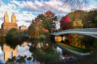 Fall At Bow Bridge