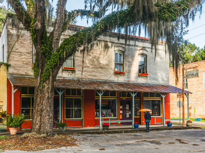 Micanopy In The Morning